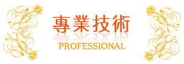 專業技術